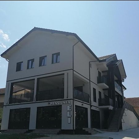 Pensiunea Eli Buzias Luaran gambar
